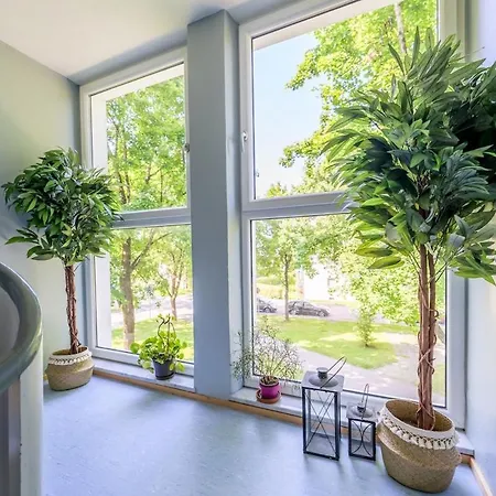 Og1 M 70m2 Grosse 2-zimmer Naehe Salzburg Διαμέρισμα *